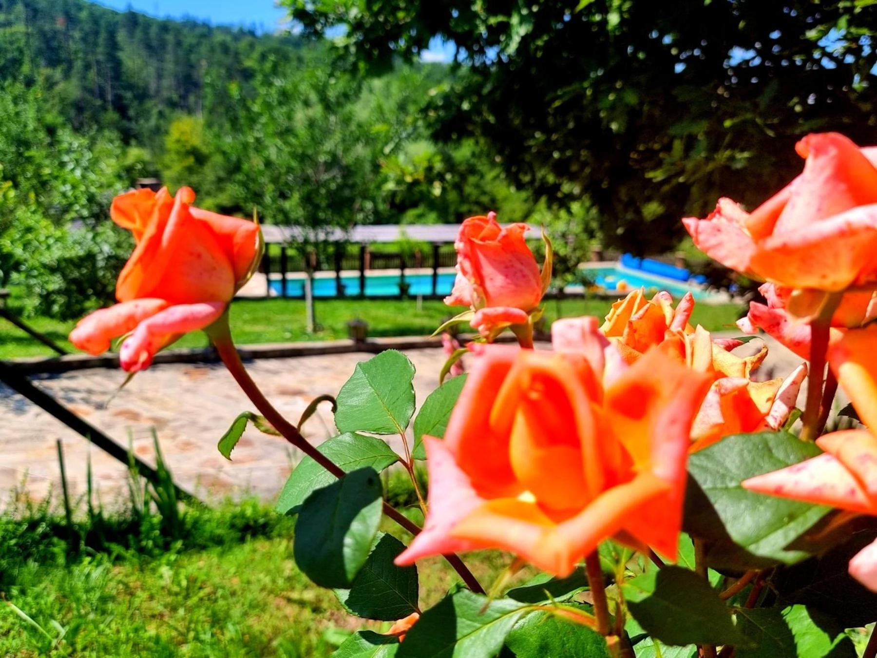 Вилла Agriturismo Hidden Paradise Трявна Экстерьер фото