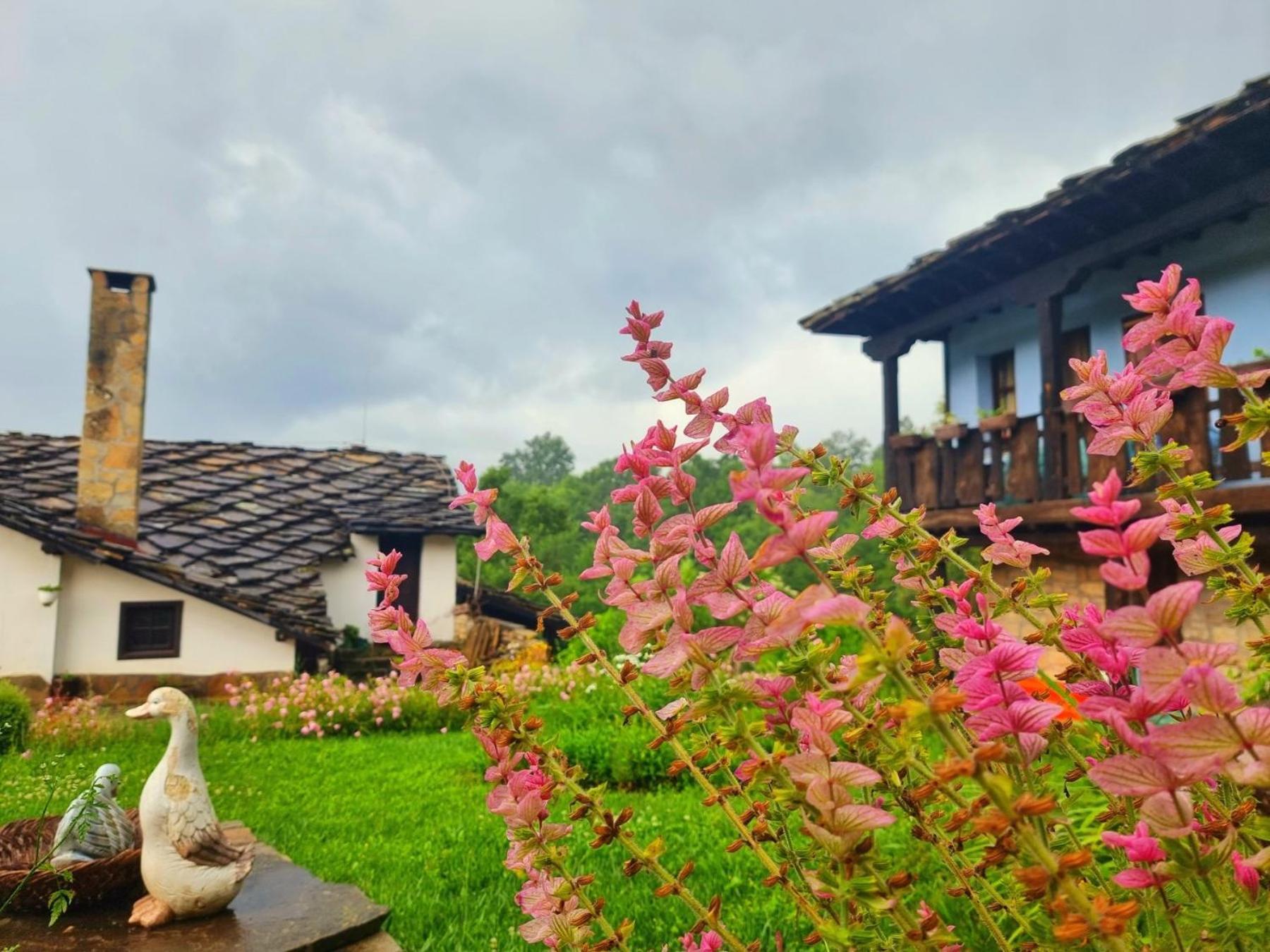 Вилла Agriturismo Hidden Paradise Трявна Экстерьер фото