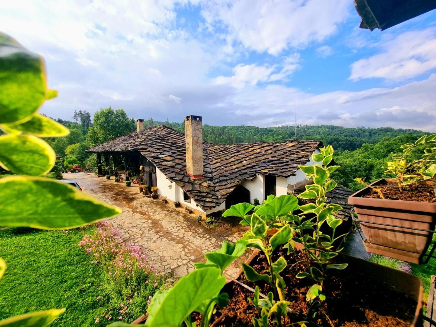 Вилла Agriturismo Hidden Paradise Трявна Экстерьер фото