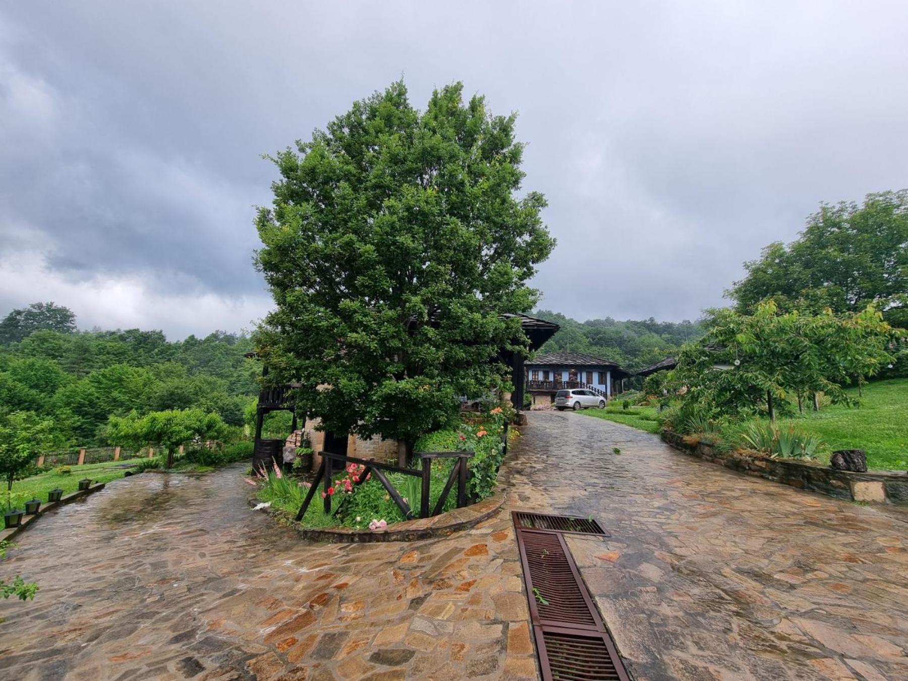Вилла Agriturismo Hidden Paradise Трявна Экстерьер фото