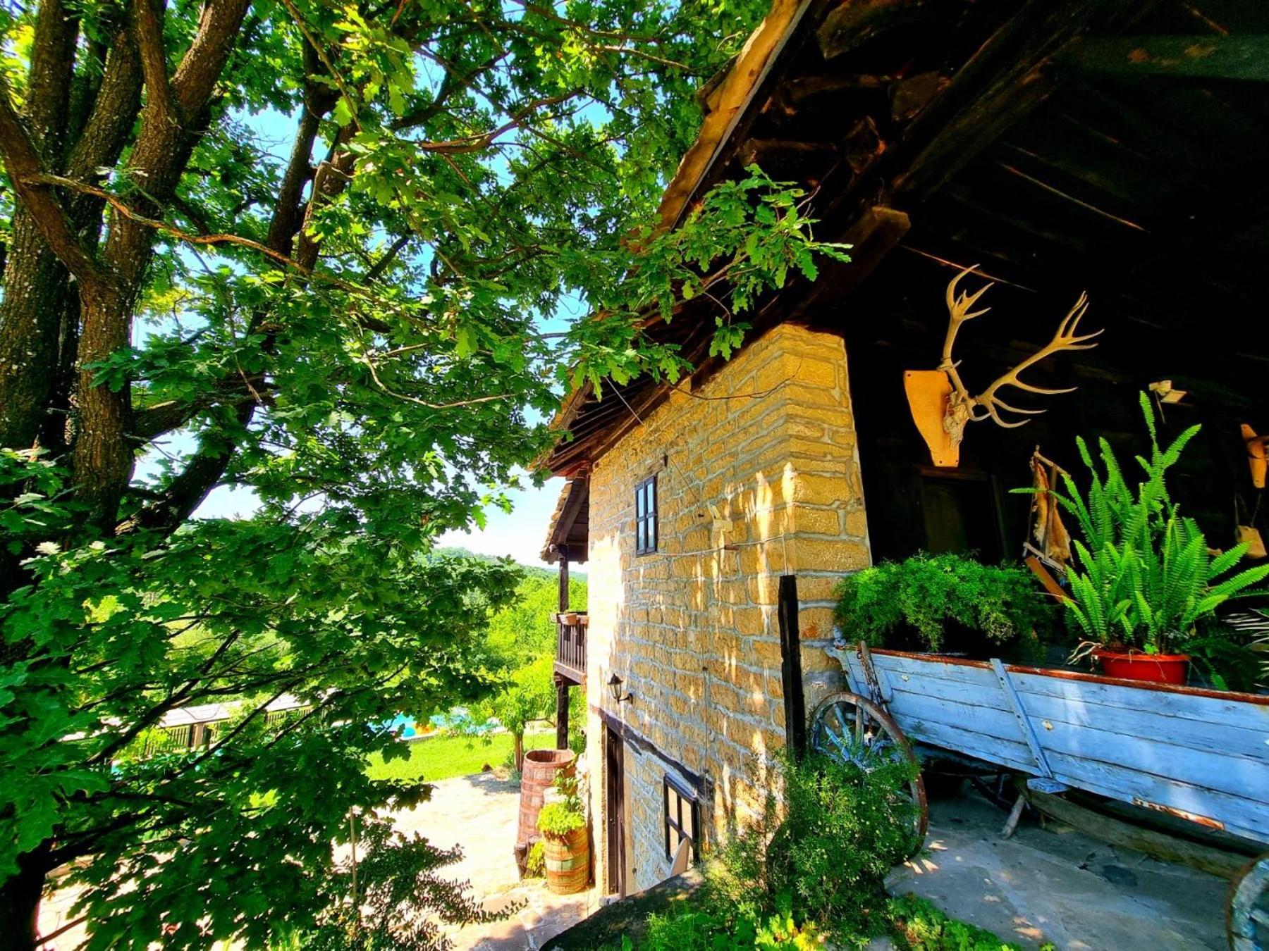 Вилла Agriturismo Hidden Paradise Трявна Экстерьер фото