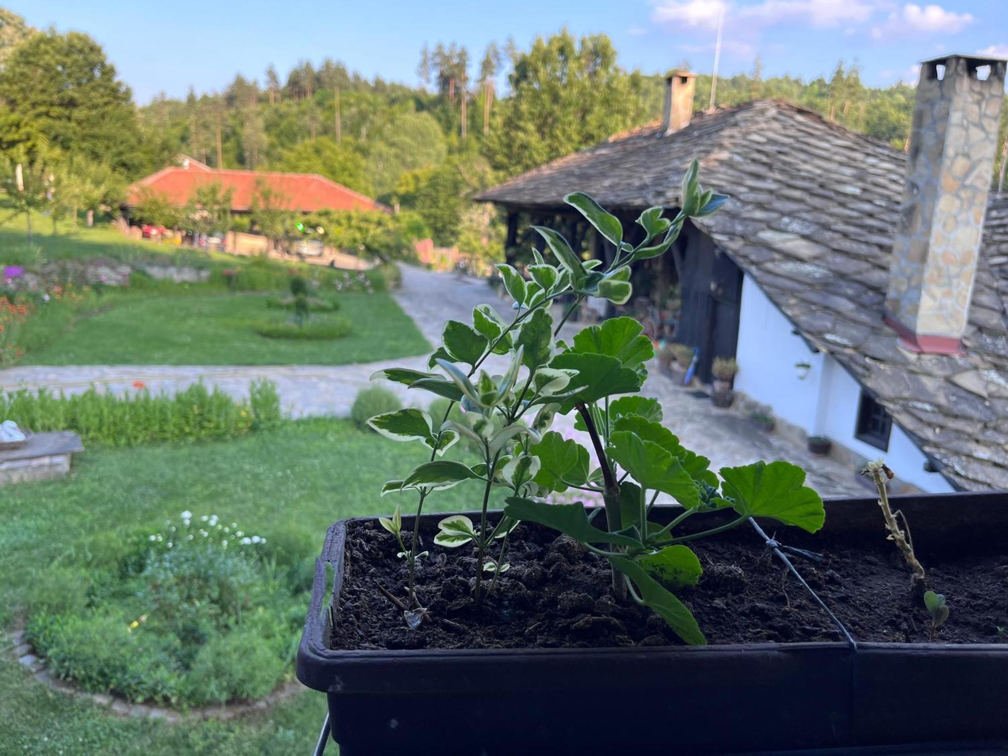 Вилла Agriturismo Hidden Paradise Трявна Экстерьер фото