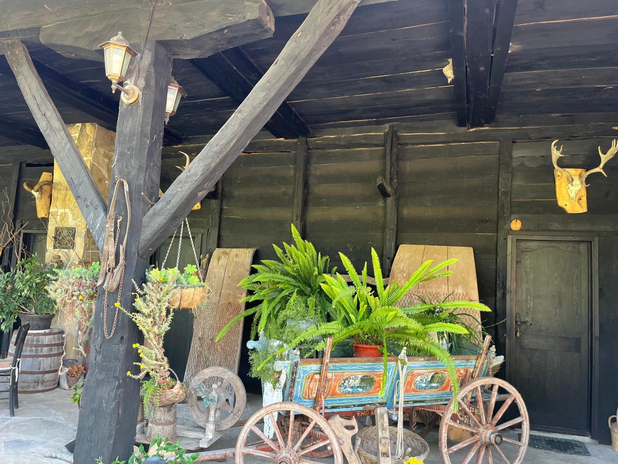 Вилла Agriturismo Hidden Paradise Трявна Экстерьер фото